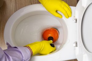 Why Should I Call a Professional to Fix My Clogged Toilet
